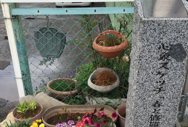 照井菓子店の写真・動画_image_195727