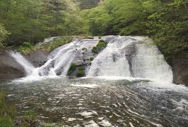 ホテル紅葉館の写真・動画_image_195741