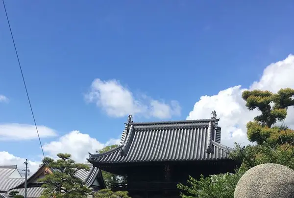 西林寺の写真・動画_image_195956