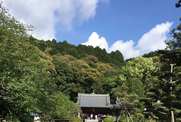 第五十番繁多寺の写真・動画_image_195972