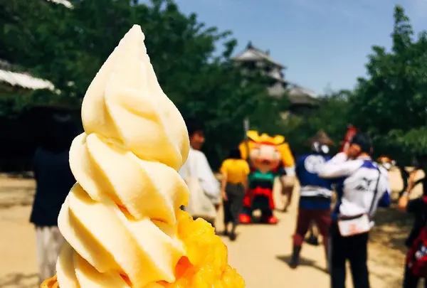 松山城の写真・動画_image_196033