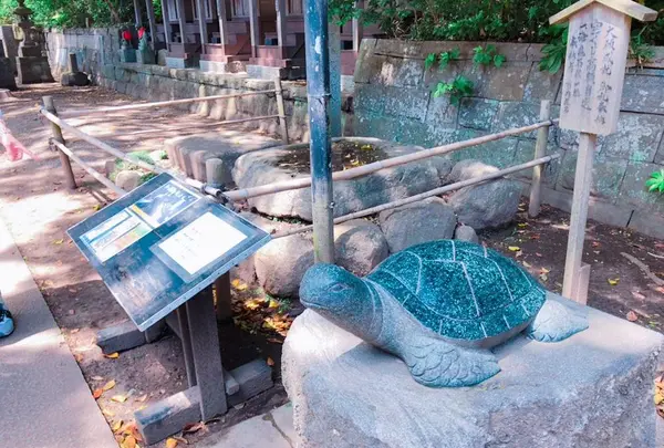酒列磯前神社の写真・動画_image_196037