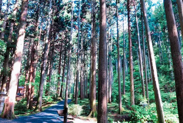 御岩神社の写真・動画_image_196045