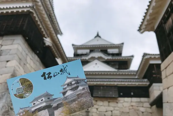 松山城の写真・動画_image_196086