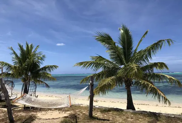 AQUA RESORT CLUB Saipan（アクア・リゾート・クラブ・サイパン）の写真・動画_image_196134