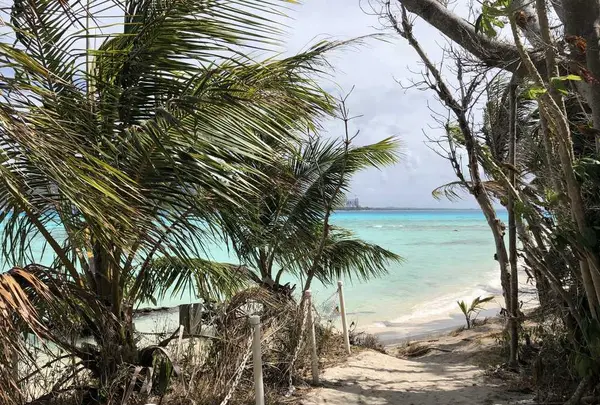 Manyagaha Island（マニャガハ島）の写真・動画_image_196163