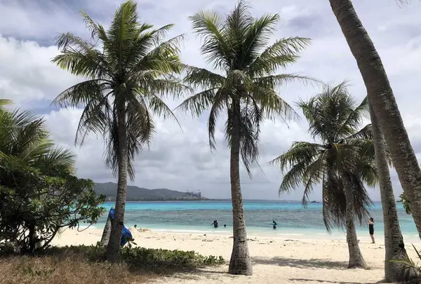 Manyagaha Island（マニャガハ島）の写真・動画_image_196165