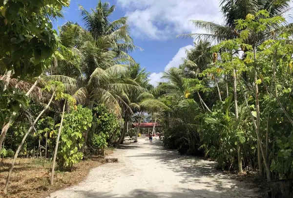Manyagaha Island（マニャガハ島）の写真・動画_image_196166