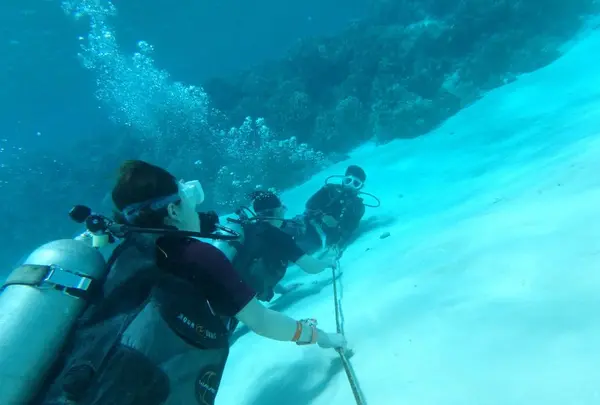 Manyagaha Island（マニャガハ島）の写真・動画_image_196170