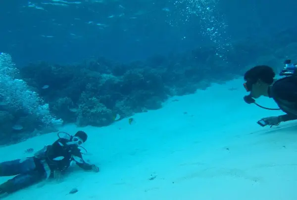 Manyagaha Island（マニャガハ島）の写真・動画_image_196171