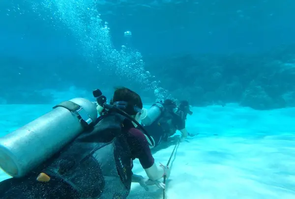 Manyagaha Island（マニャガハ島）の写真・動画_image_196172