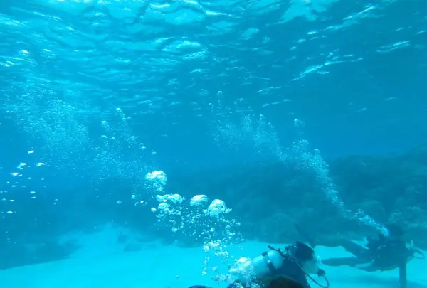 Manyagaha Island（マニャガハ島）の写真・動画_image_196173