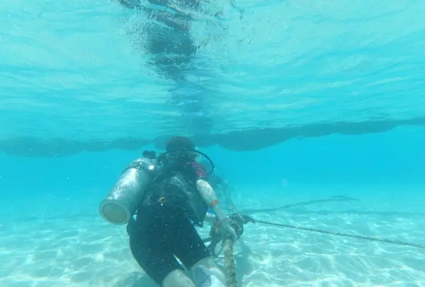 Manyagaha Island（マニャガハ島）の写真・動画_image_196177