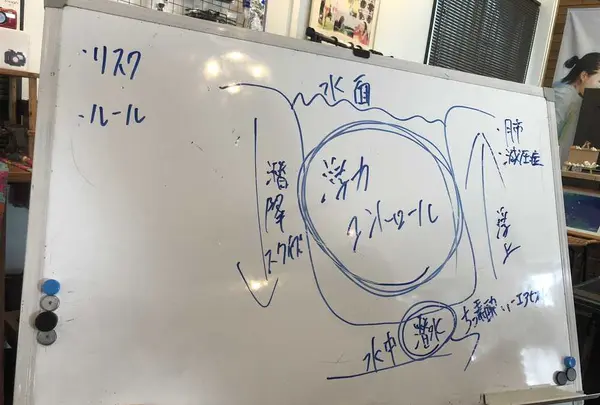 ダイビングスクール マレア沖縄・那覇店の写真・動画_image_196242