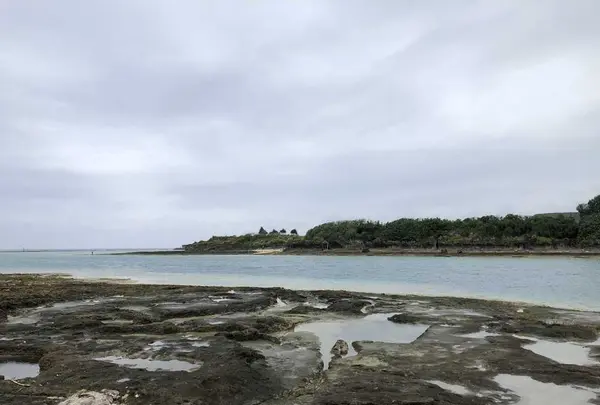 奥武島の写真・動画_image_196245