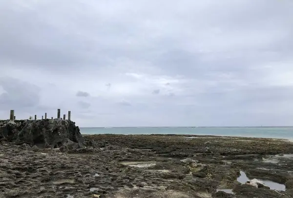 奥武島の写真・動画_image_196246