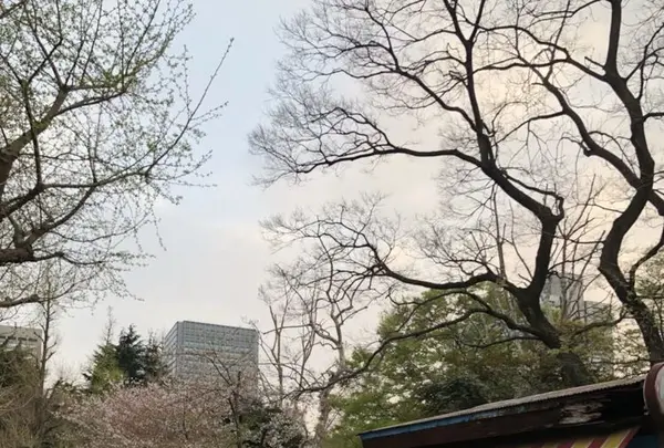 日比谷公園の写真・動画_image_196275
