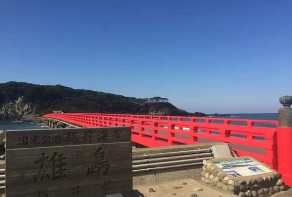 東尋坊の写真・動画_image_196335