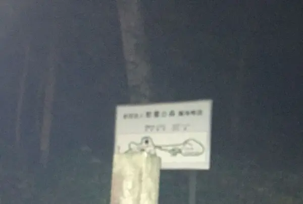 慰霊の森の写真・動画_image_196395