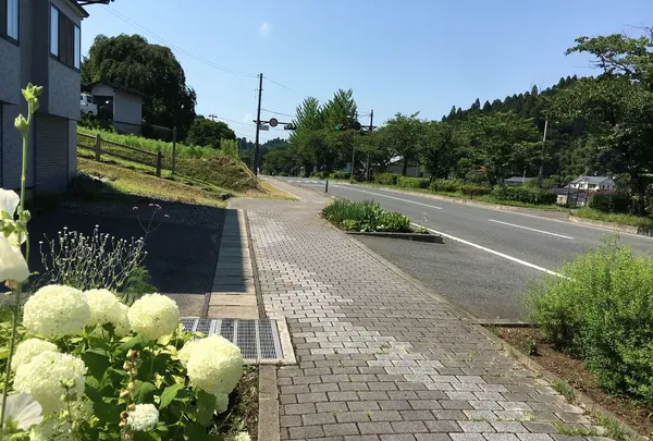 焼肉八つ花の写真・動画_image_196429