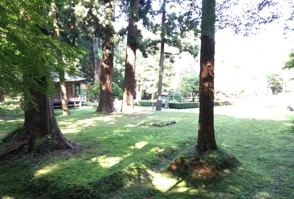 中尊寺の写真・動画_image_196437