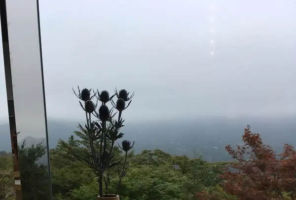 箱根強羅 白檀の写真・動画_image_196537