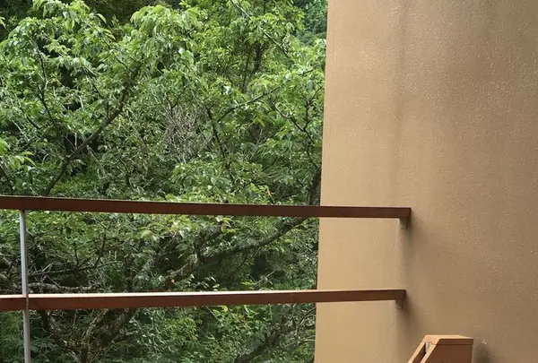 金乃竹塔ノ沢の写真・動画_image_196552