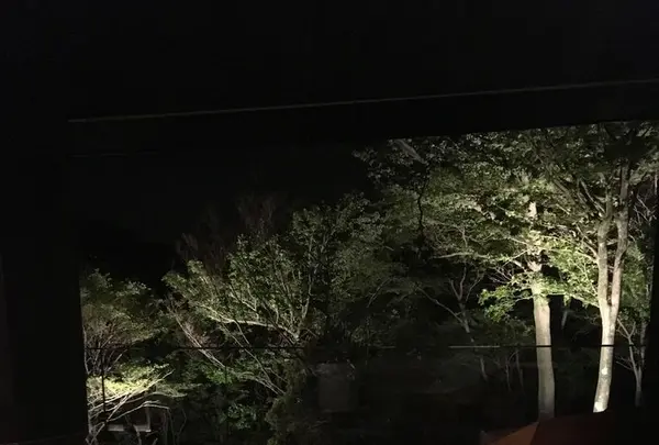 金谷リゾート箱根の写真・動画_image_196558