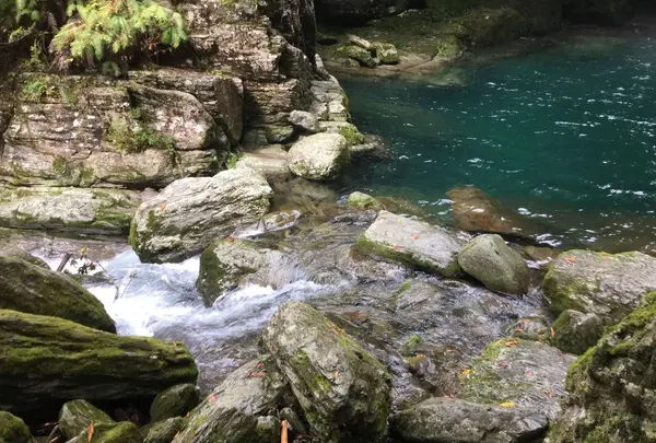 仁淀川の写真・動画_image_196635