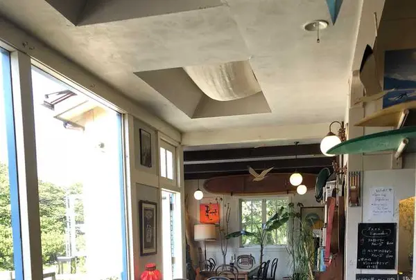 スパイスドッグ （Spicedog） の写真・動画_image_196686