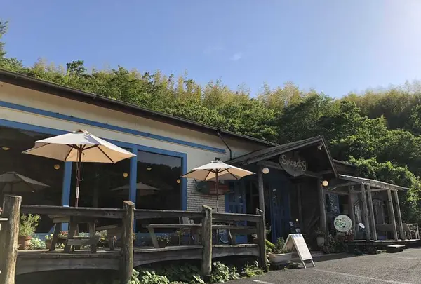 スパイスドッグ （Spicedog） の写真・動画_image_196688