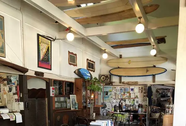 スパイスドッグ （Spicedog） の写真・動画_image_196689