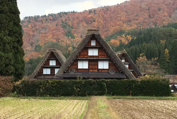 白川郷の写真・動画_image_196693