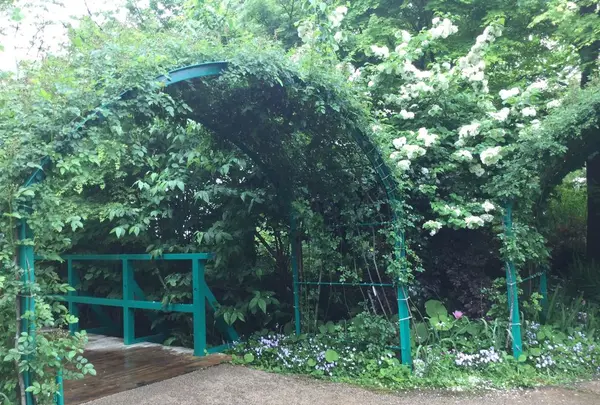 北川村「モネの庭」マルモッタンの写真・動画_image_196712