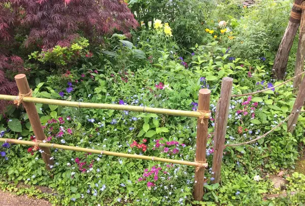 北川村「モネの庭」マルモッタンの写真・動画_image_196715