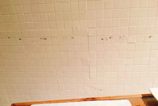 タピオ スイーツガーデン (TAPIO sweets garden)の写真・動画_image_196750