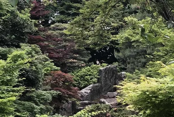 川越大師 喜多院の写真・動画_image_196830