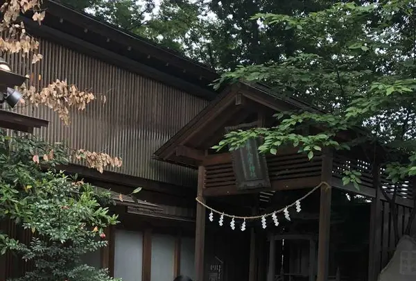 川越氷川神社の写真・動画_image_196841