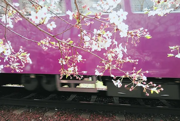 鳴滝駅の写真・動画_image_196919