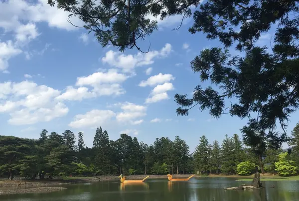 毛越寺の写真・動画_image_196959
