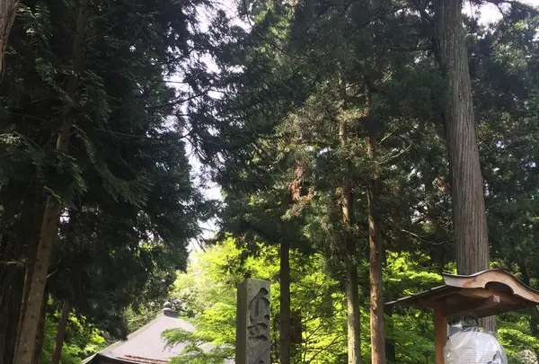 中尊寺の写真・動画_image_196961