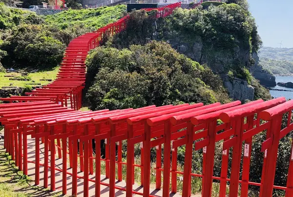 元乃隅神社の写真・動画_image_197251