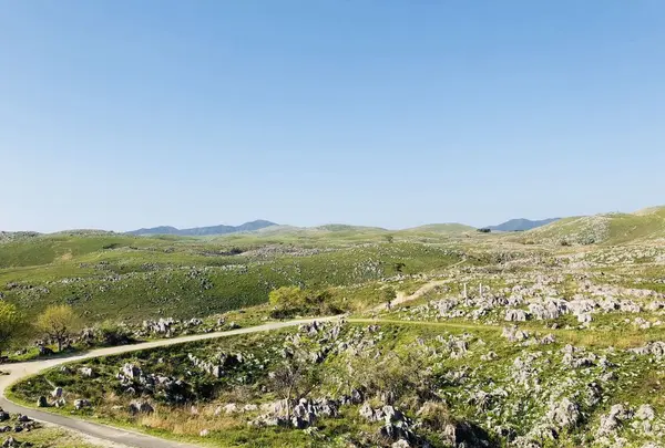 秋吉台の写真・動画_image_197259