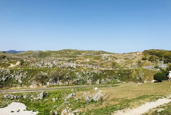 秋吉台の写真・動画_image_197262