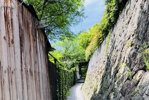 千光寺の写真・動画_image_197320