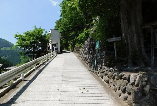 奥多摩「むかし道」の写真・動画_image_197371