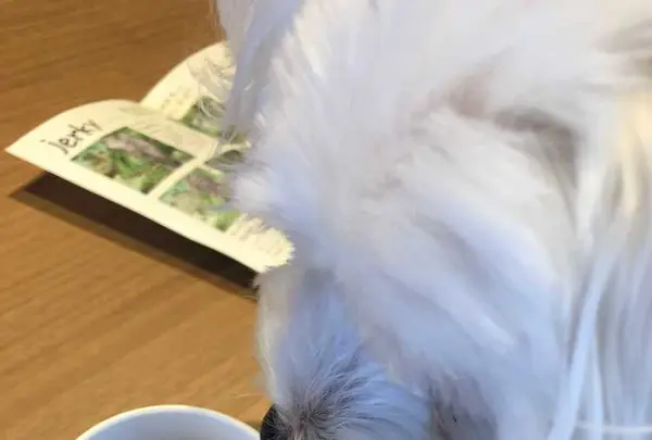 寄七つ星カフェの写真・動画_image_197409