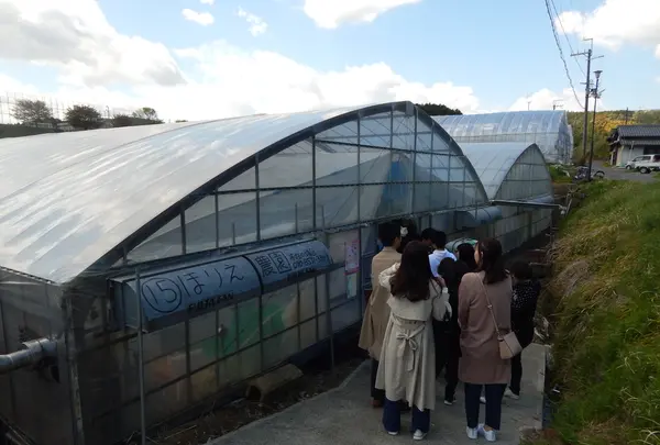堀江農園～あすかいちご狩りパークの写真・動画_image_197419