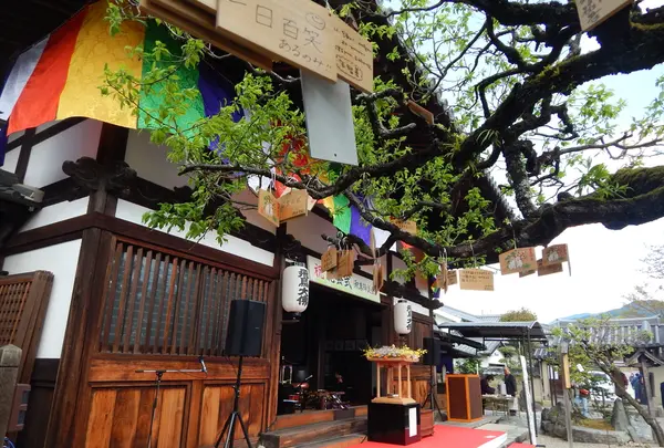 安居院（飛鳥寺）の写真・動画_image_197423