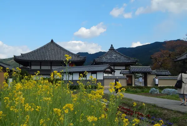安居院（飛鳥寺）の写真・動画_image_197427